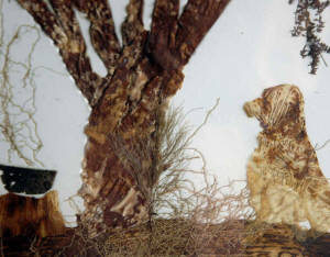 René Dhombres : Imagerie végétale, dried plants, Pflanzen,  押し葉画